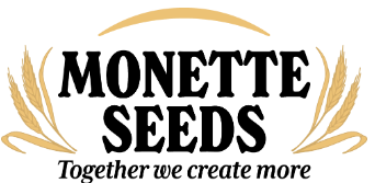 MONETTE SEEDS